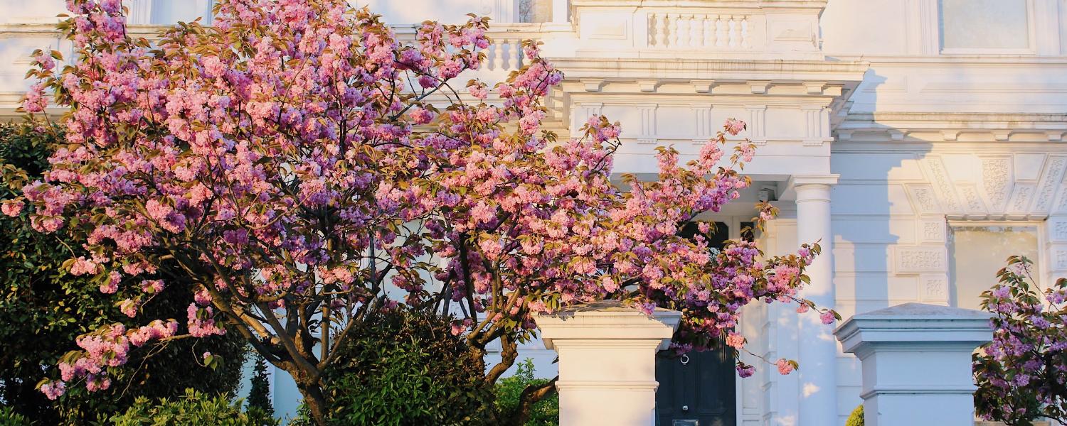 England Horticultural Tour